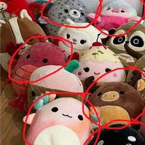 Circled squishmallows